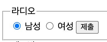 type ="radio" 결과 type ="radio" 결과